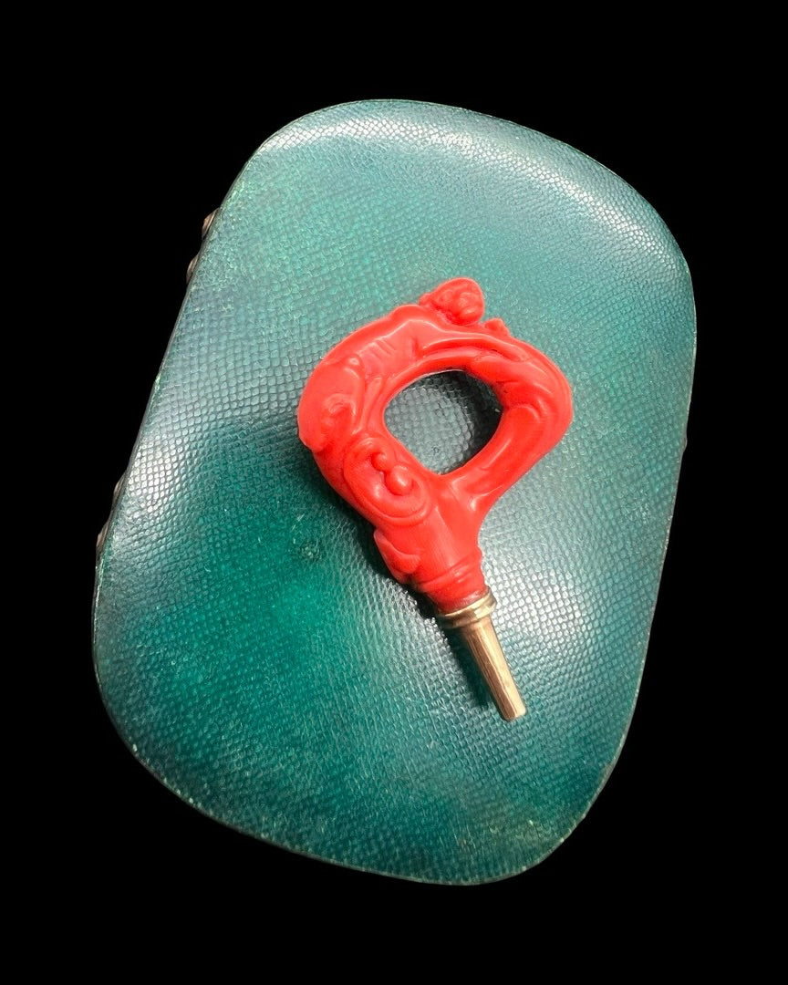 Georgian Coral Watch Key