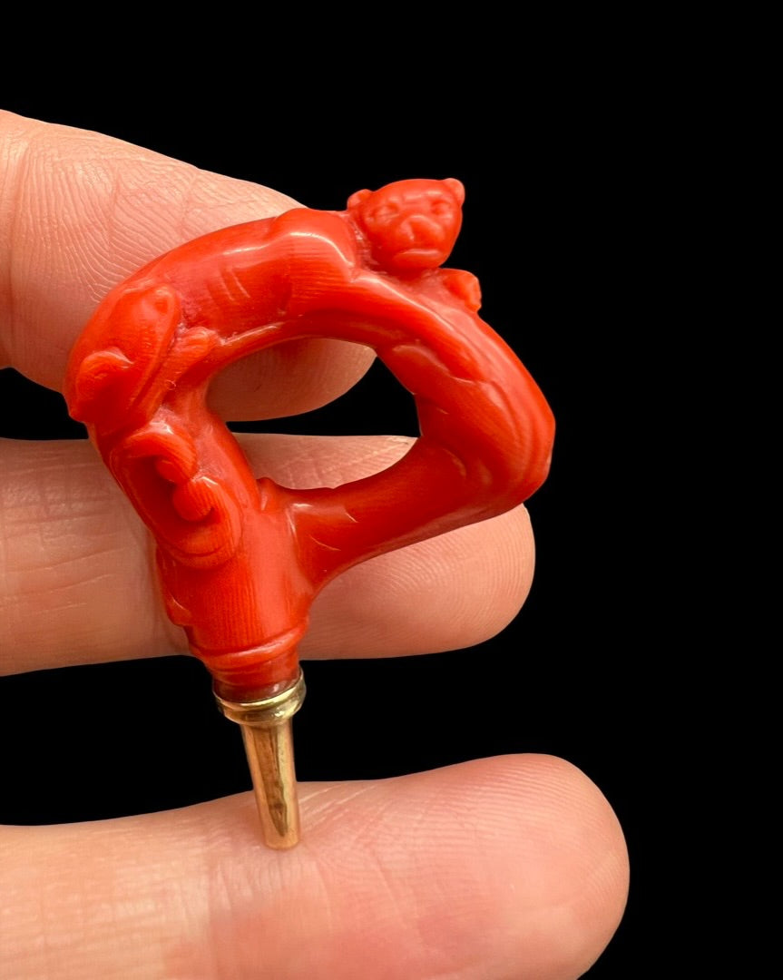 Georgian Coral Watch Key