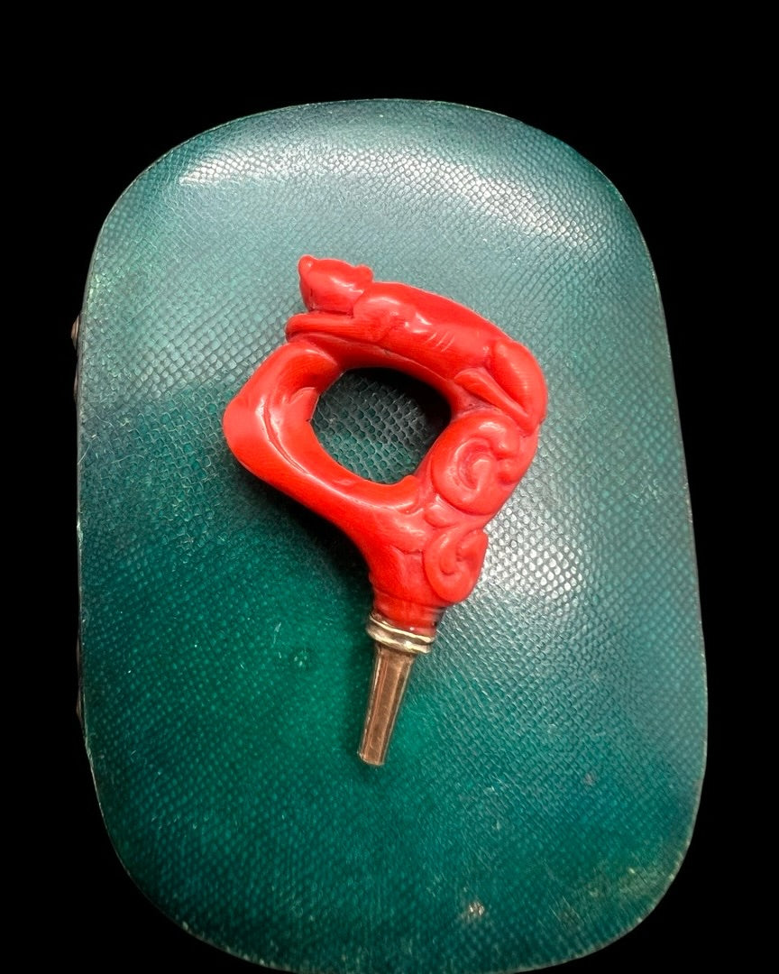 Georgian Coral Watch Key