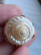 Sea Snail Mourning Brooch 1843