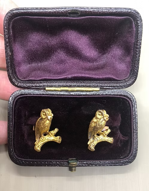 Owls