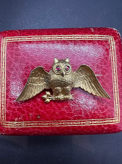Owl with Poppies