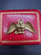 Owl with Poppies