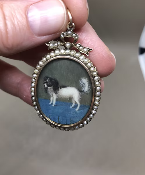 King Charles Spaniel
