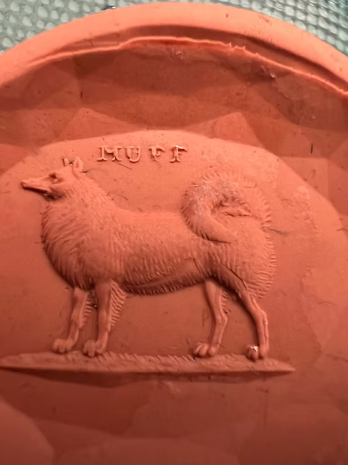‘Muff’