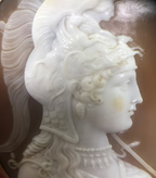 Minerva Shell Cameo c.1840