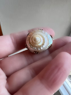 Sea Snail Mourning Brooch 1843