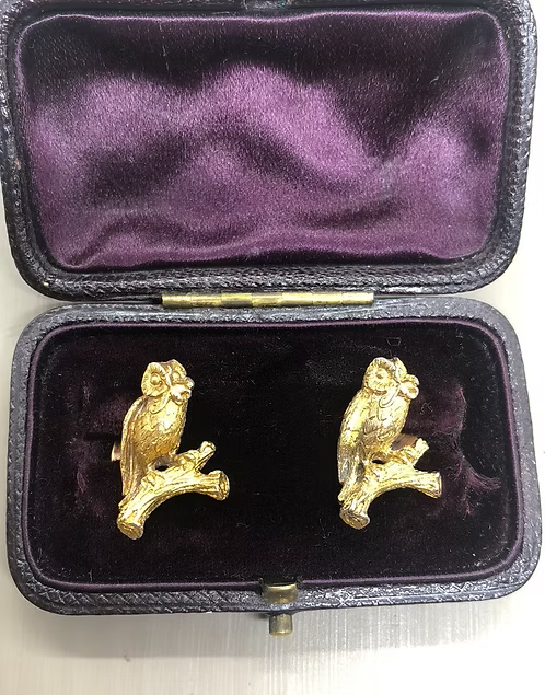 Owls