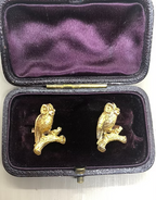Owls