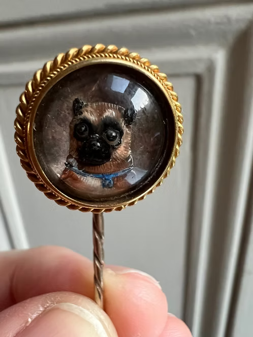 Essex Pug