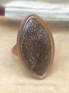 Fossilised Palmwood Navette
