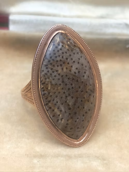 Fossilised Palmwood Navette