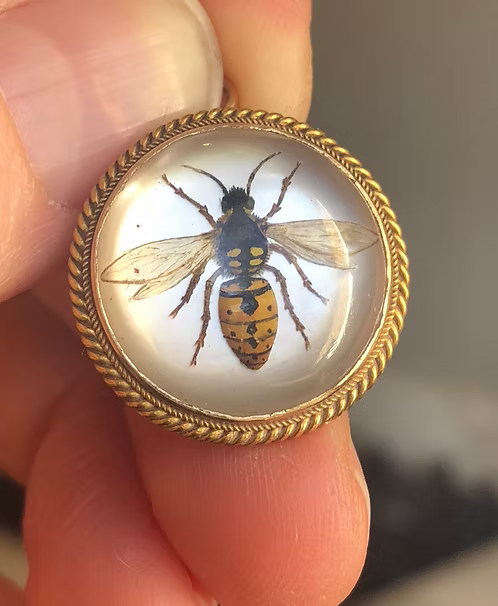 Essex Wasp