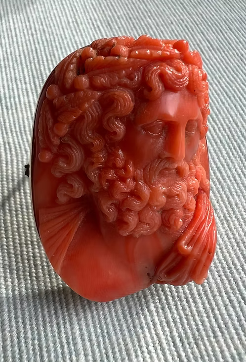 Coral Zeus