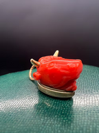 Coral Bull charm
