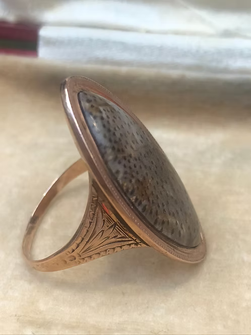 Fossilised Palmwood Navette
