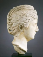 Julia the Elder