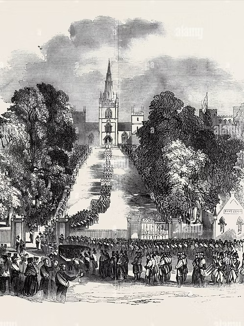 Marquess of Downshire’s Serpent