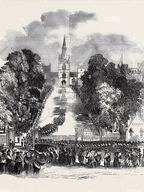 Marquess of Downshire’s Serpent