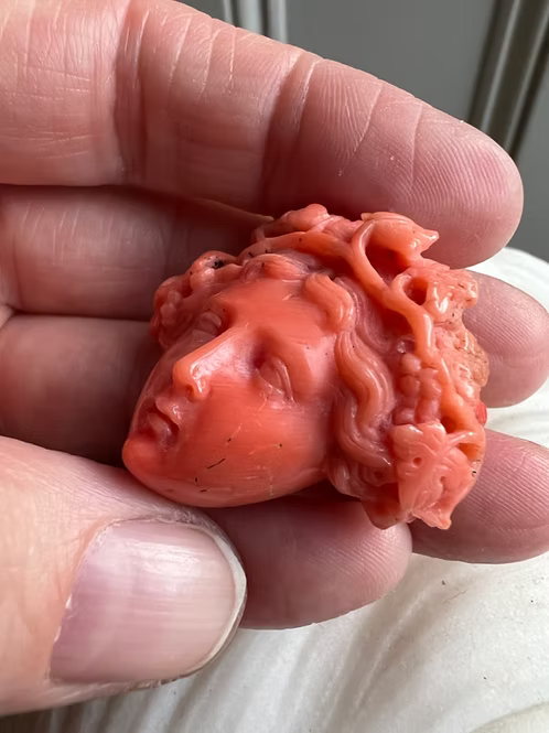 Coral Bacchante