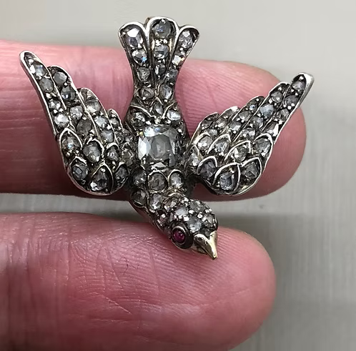 Diamond Dove