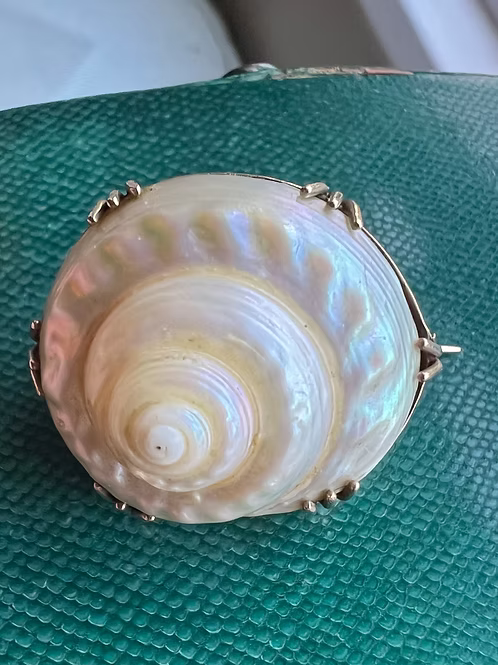 Sea Snail Mourning Brooch 1843