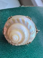 Sea Snail Mourning Brooch 1843
