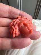 Coral Bacchante