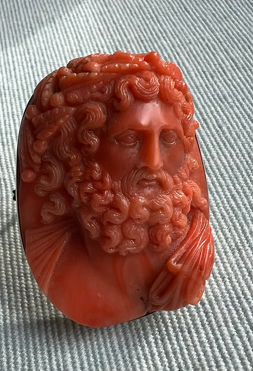Coral Zeus