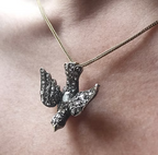 Diamond Dove