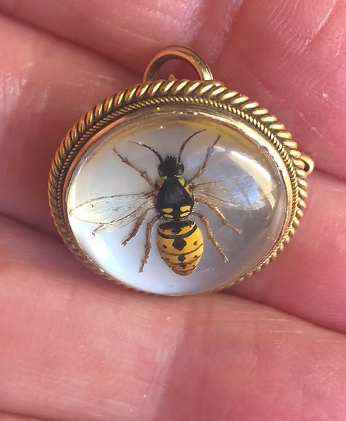 Essex Wasp