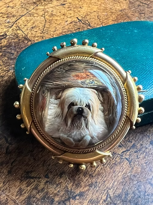 In the Doghouse
