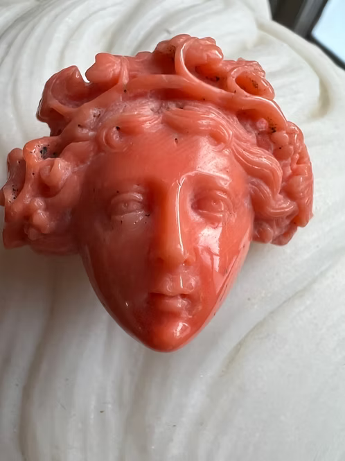 Coral Bacchante