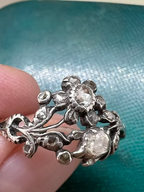 Rose Diamond Giardinetti