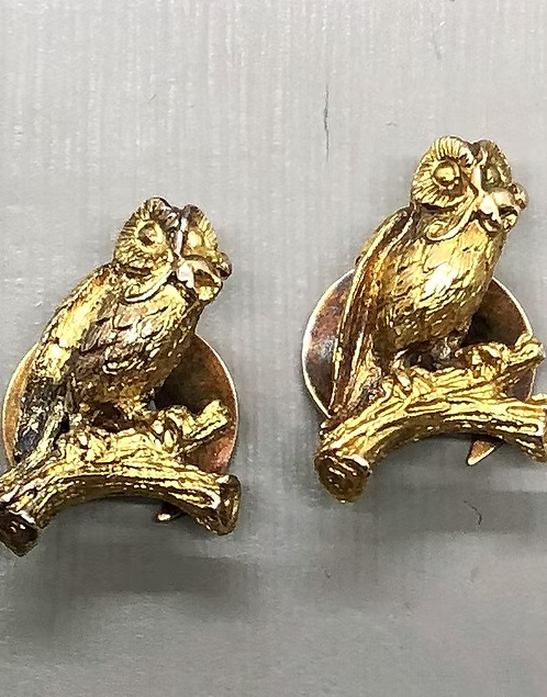 Owls