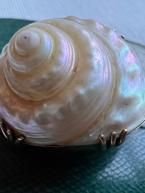 Sea Snail Mourning Brooch 1843