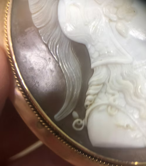 Minerva Shell Cameo c.1840