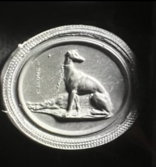 Georgian Greyhounds Seal