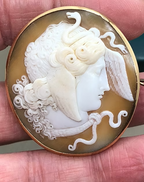 The Gorgon Medusa