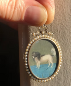 King Charles Spaniel
