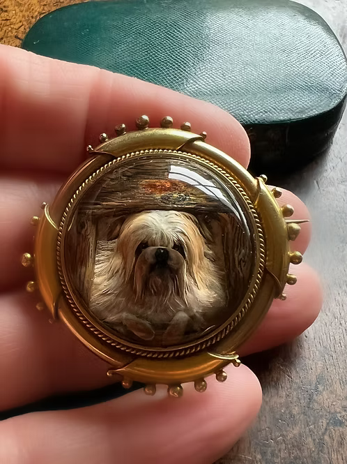In the Doghouse