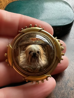 In the Doghouse