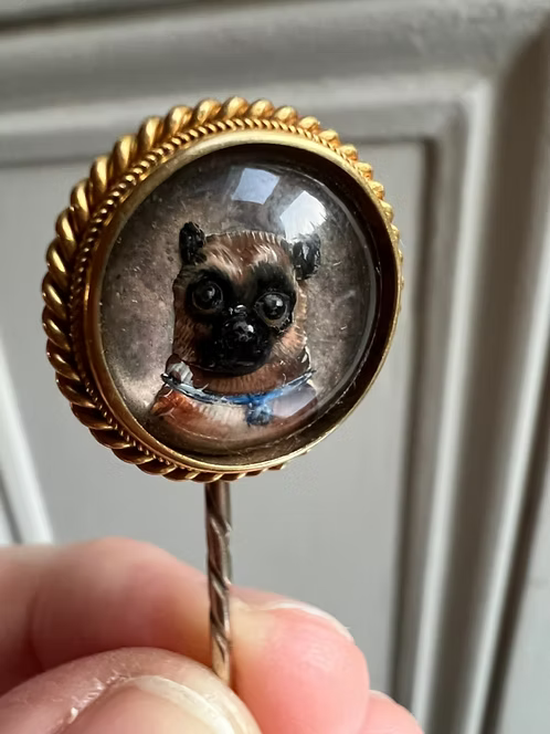 Essex Pug