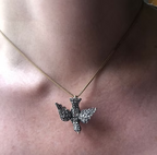 Diamond Dove
