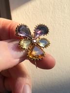 Georgian Pansy