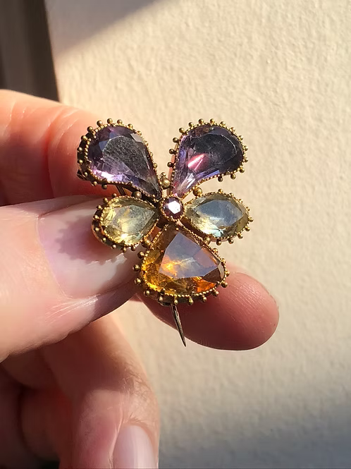 Georgian Pansy