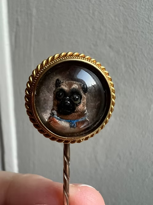 Essex Pug