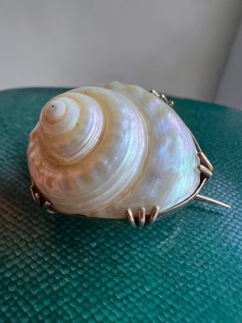 Sea Snail Mourning Brooch 1843