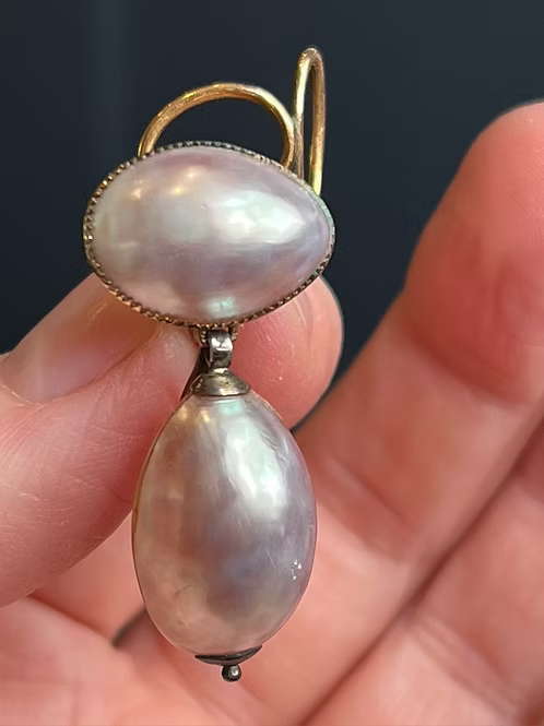 Queen Anne Coque de Perle
