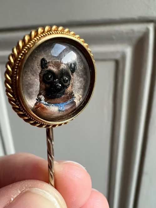 Essex Pug